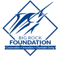 big-rock-foundation-logo